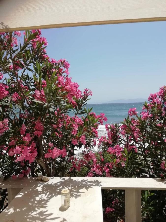 "Sea Front" Rose'S House Kardhianí Exterior foto
