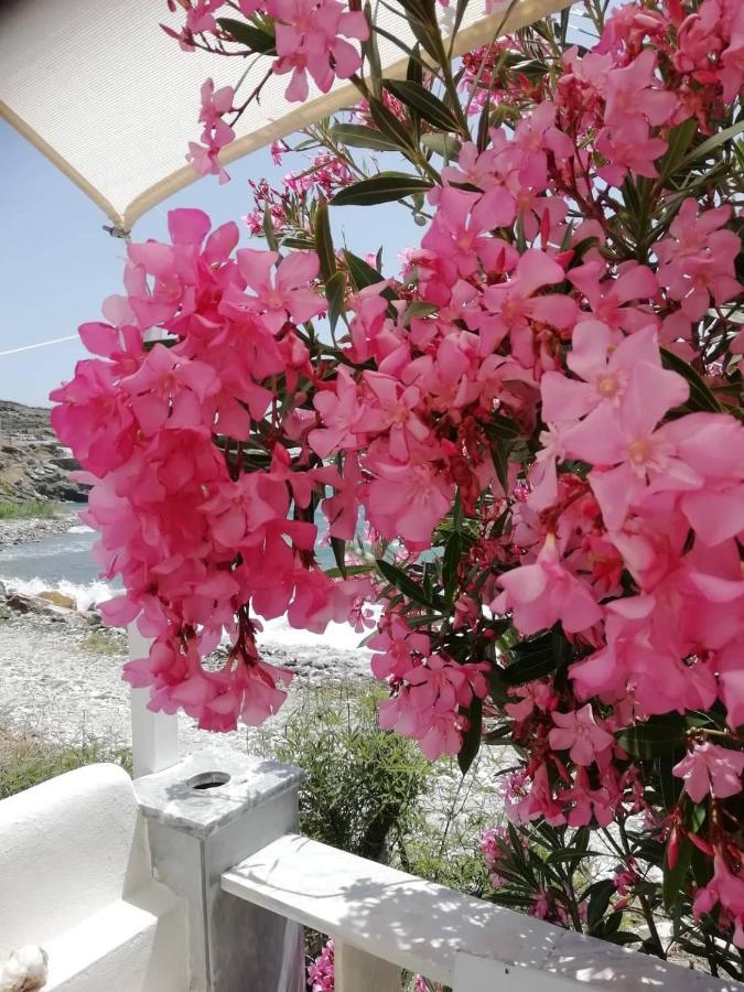 "Sea Front" Rose'S House Kardhianí Exterior foto