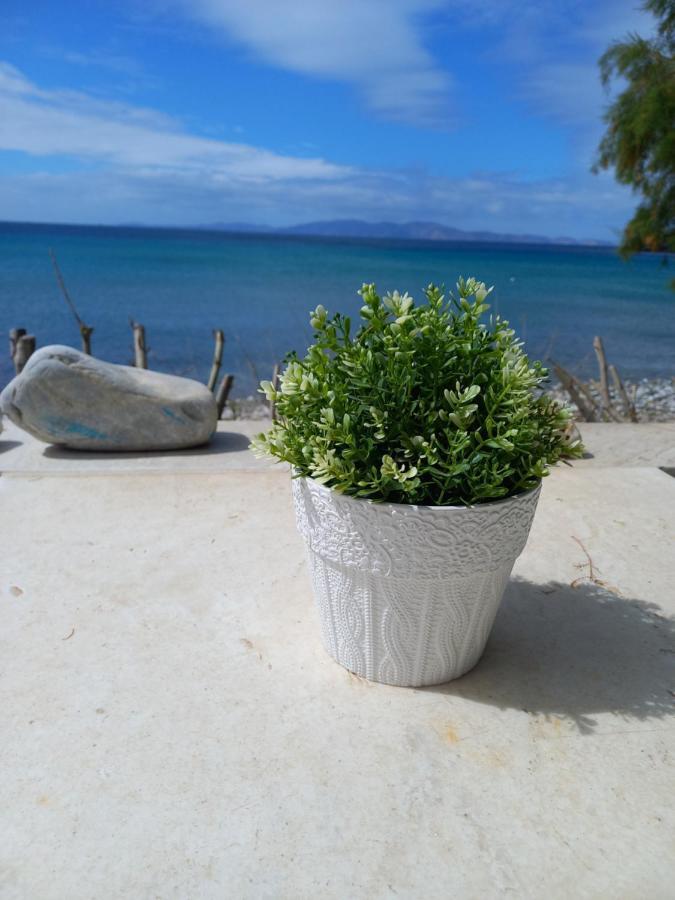 "Sea Front" Rose'S House Kardhianí Exterior foto
